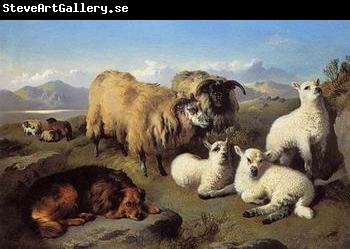 unknow artist Sheep 191